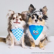 左から「ペットバンダナ スライムパターン」、「ペットバンダナ スライム」。 ※商品はすべて開発中のもの。開発状況により販売を行わない可能性もある。