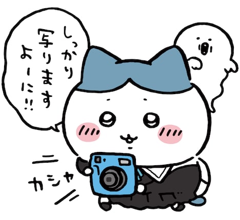 「写らナイんです」3巻の単行本の帯に登場したナガノ描き下ろしによるハチワレ。(c)nagano