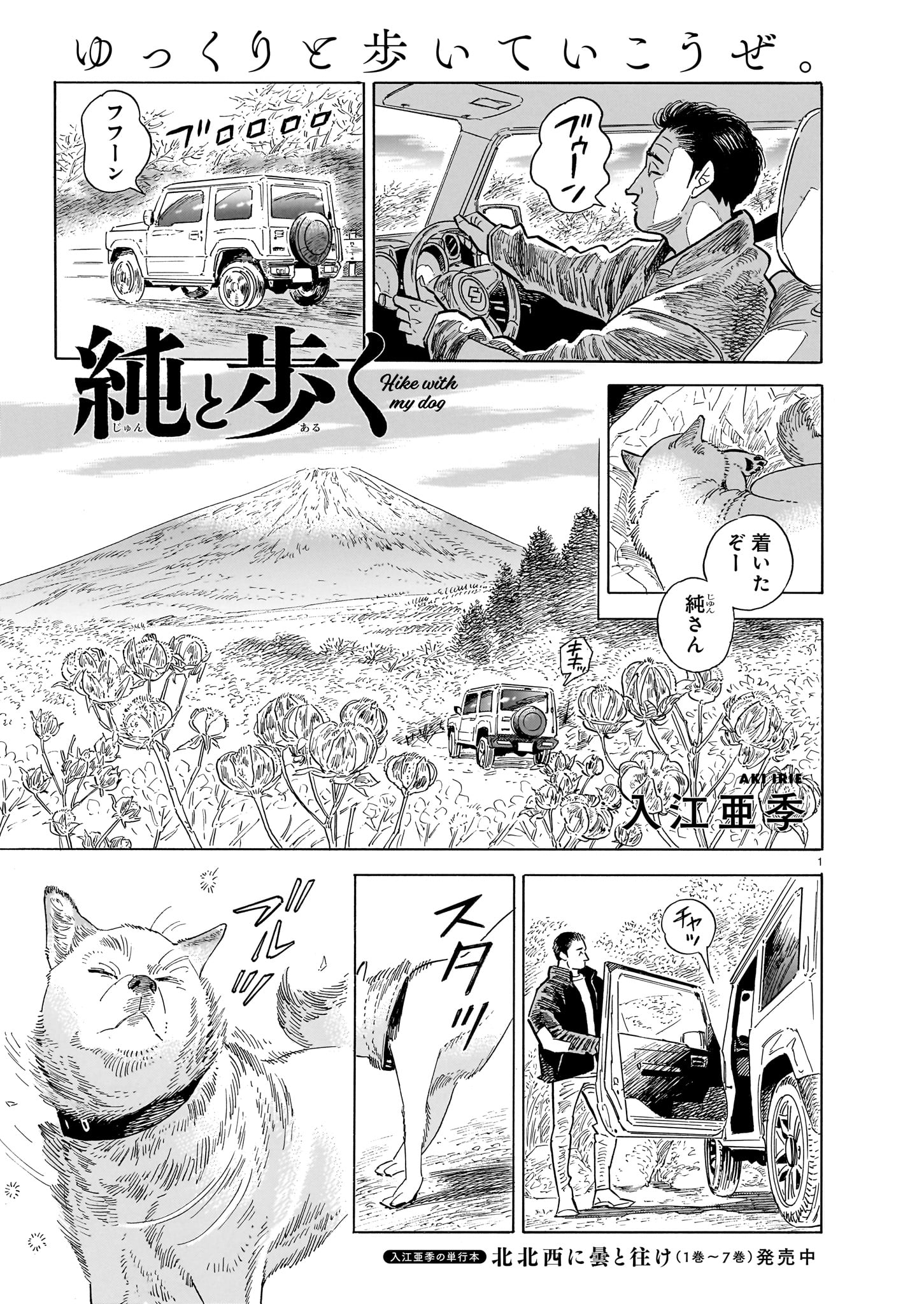 入江亜季 「純と歩く」より。