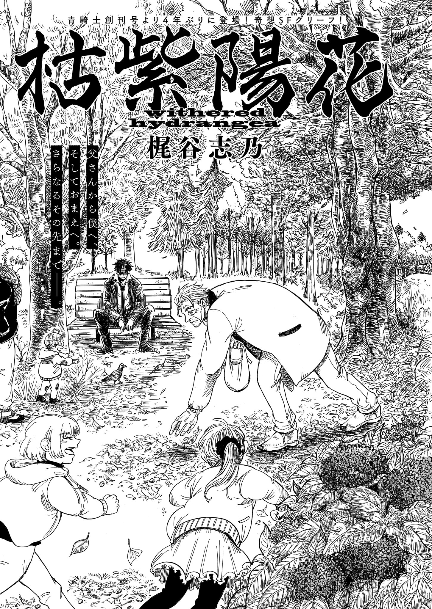 梶谷志乃 「枯紫陽花」より。