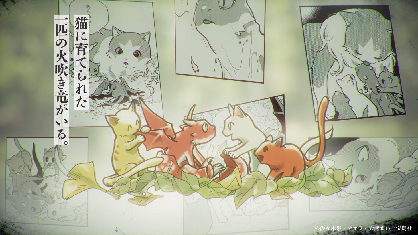 「猫と竜」アニメ化決定特報PVより。