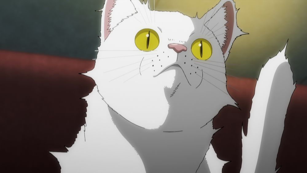 TVアニメ「ニャイト・オブ・ザ・リビングキャット」ティザーPV第2弾より。
