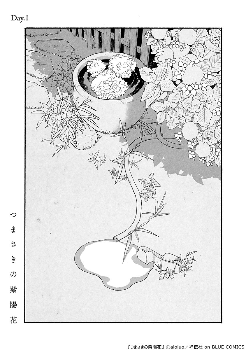 「つまさきの紫陽花」1巻より。