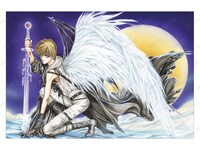 「トレーディングカラーイラストポストカード」