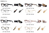 「ドラゴンボール モデル」