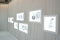 「アオのハコ展」の会場の様子。