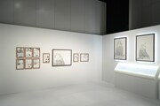 「アオのハコ展」の会場の様子。