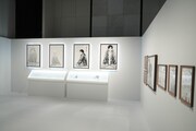 「アオのハコ展」の会場の様子。