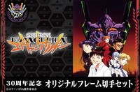 「TVアニメ『新世紀エヴァンゲリオン』30周年記念フレーム切手」バナー