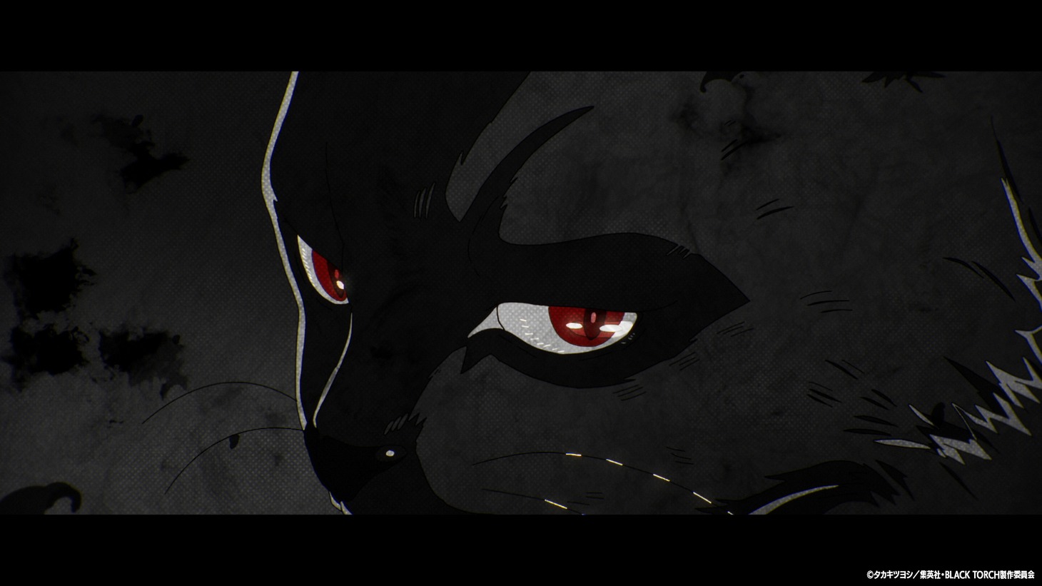 TVアニメ「BLACK TORCH」ティザーPVより。