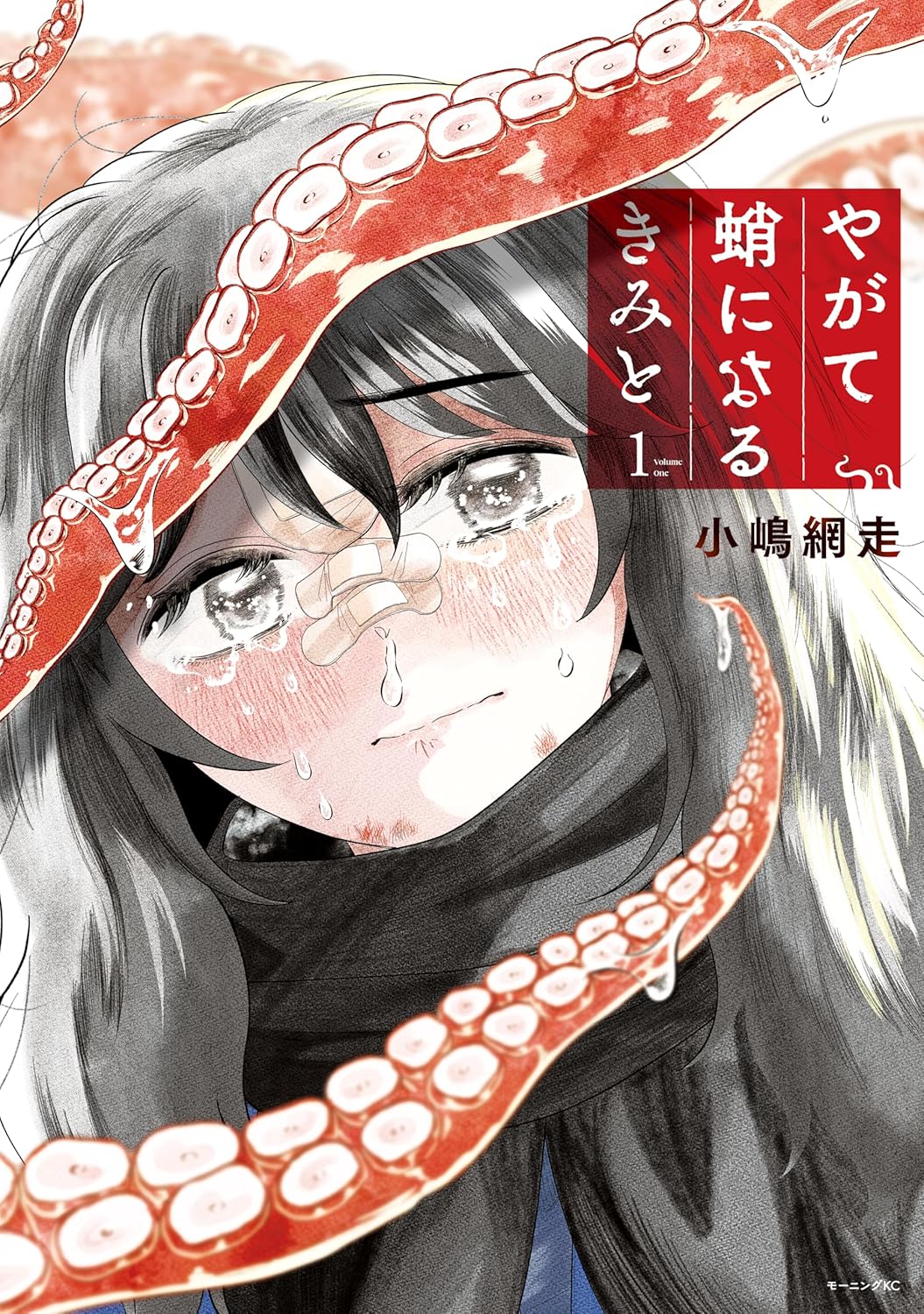 例えどんな姿になっても…ピュアで切ない恋と呪いの物語「やがて蛸になるきみと」1巻