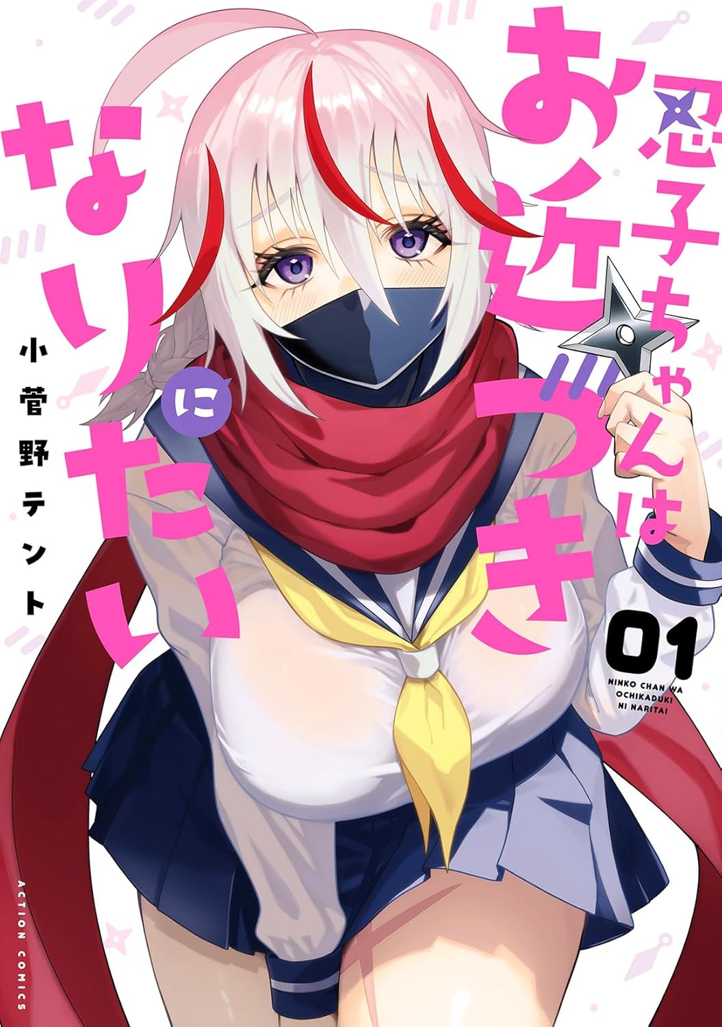 甲賀と伊賀、ライバル同士だけど決闘で思わずドキドキ　思春期忍法帖ラブコメ1巻