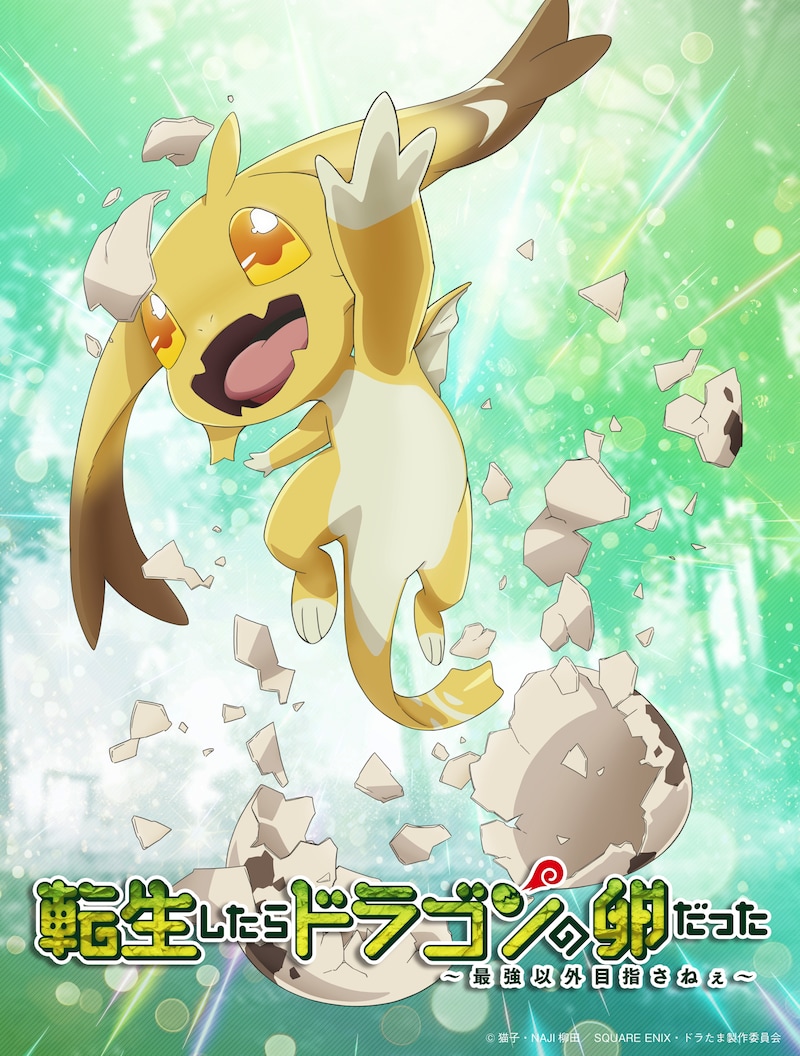 TVアニメ「転生したらドラゴンの卵だった」アニメ化決定記念ビジュアル。 (c)猫子・NAJI柳田／SQUARE ENIX・ドラたま製作委員会