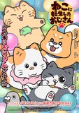 TVアニメ「ねこに転生したおじさん」コンセプトビジュアル (c)やじま/ねこおじ製作委員会