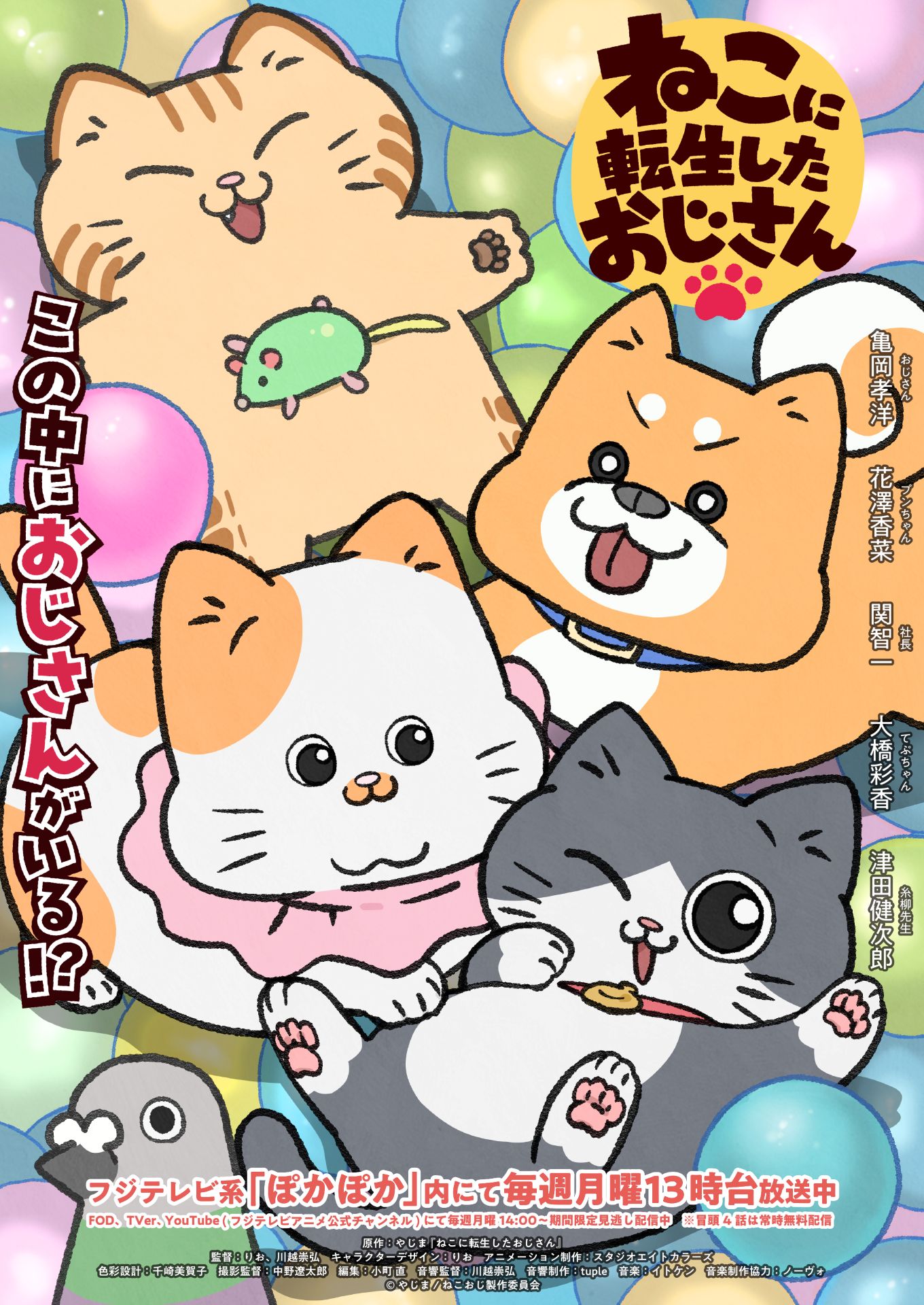 TVアニメ「ねこに転生したおじさん」コンセプトビジュアル (c)やじま/ねこおじ製作委員会