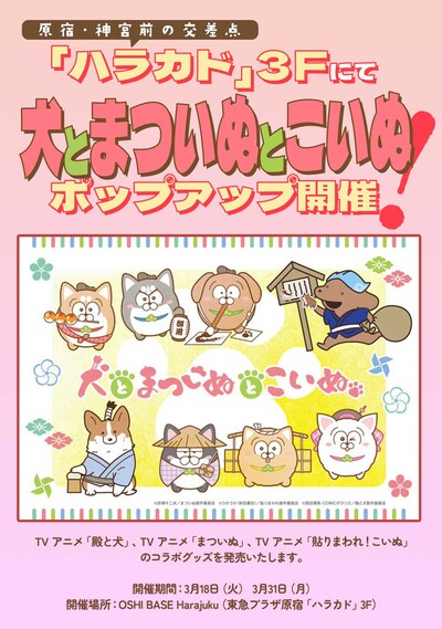 「犬とまついぬとこいぬ」告知画像