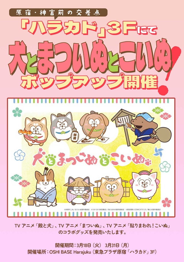 「犬とまついぬとこいぬ」告知画像