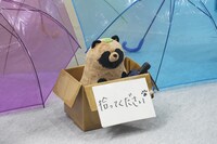 NBCユニバーサルブースの様子。