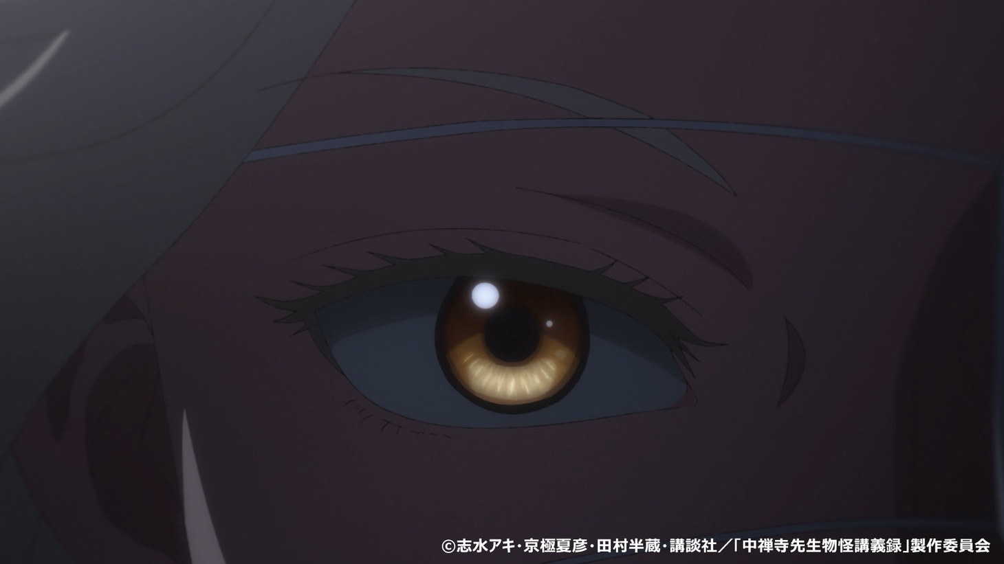 TVアニメ「中禅寺先生物怪講義録 先生が謎を解いてしまうから。」第2弾PVより。