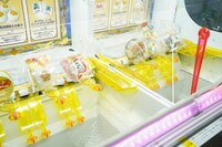 「素材採取家の異世界旅行記」展示の様子。