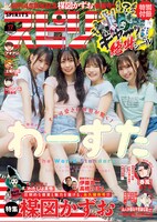 週刊ビッグコミックスピリッツ17号