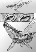 「海の声が聞きたくて」より