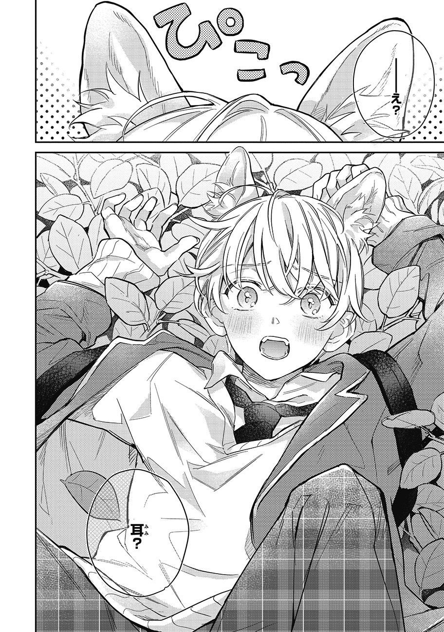 「普通ですが何か？最近はあやかしだって高校に行くんです。」1巻より