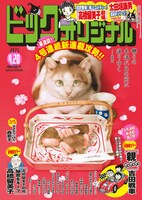 ビッグコミックオリジナル8号