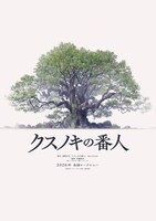 アニメーション映画「クスノキの番人」の“超ティザービジュアル”（縦）