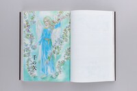 「メッシュ プレミアムエディション」下巻