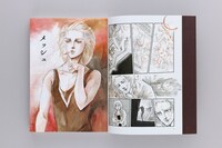 「メッシュ プレミアムエディション」上巻