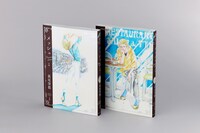 「メッシュ プレミアムエディション」上下巻