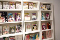 「丸山的少女漫画文庫100」の一部