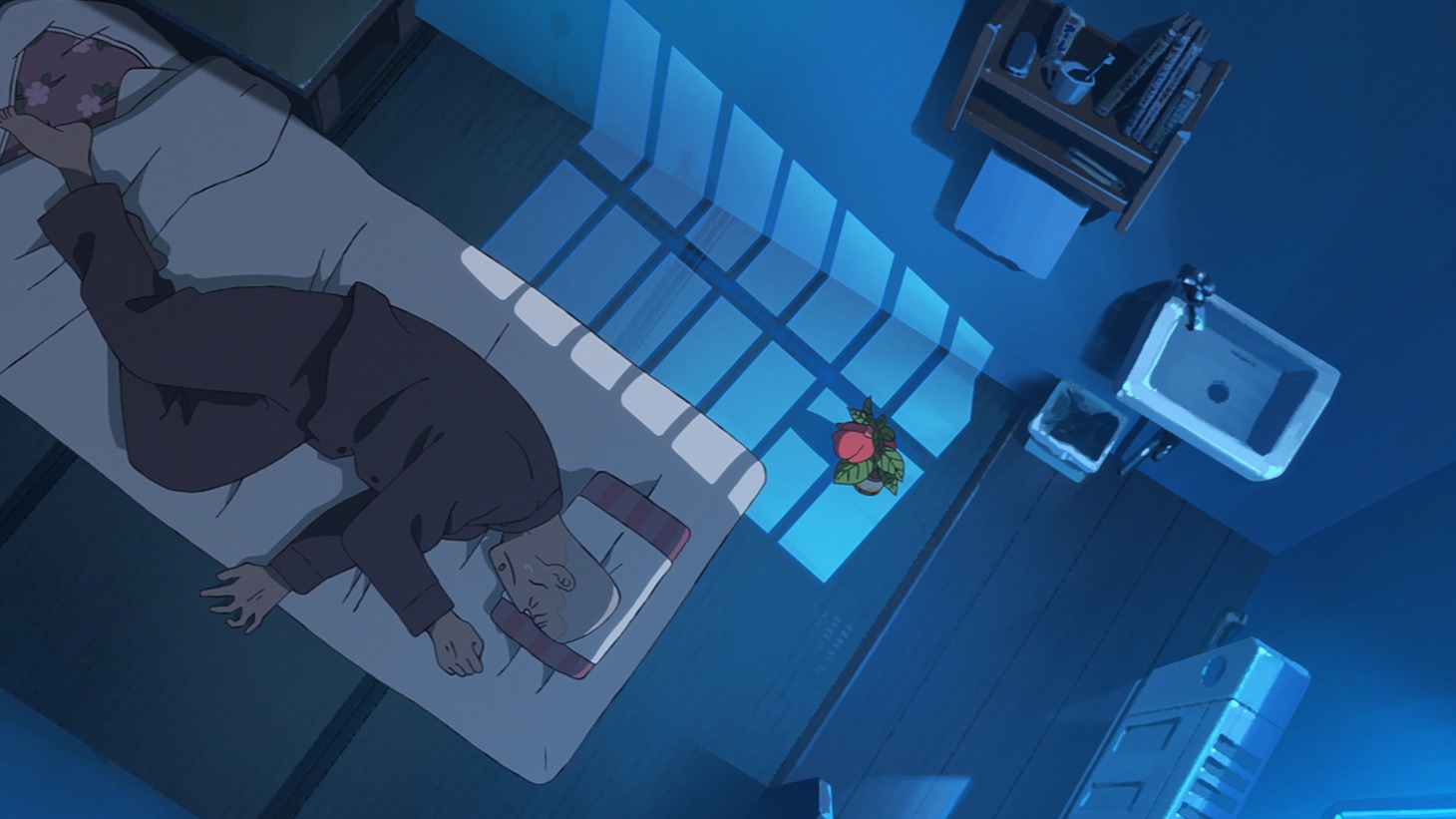 アニメ映画「ホウセンカ」特報の場面カット
