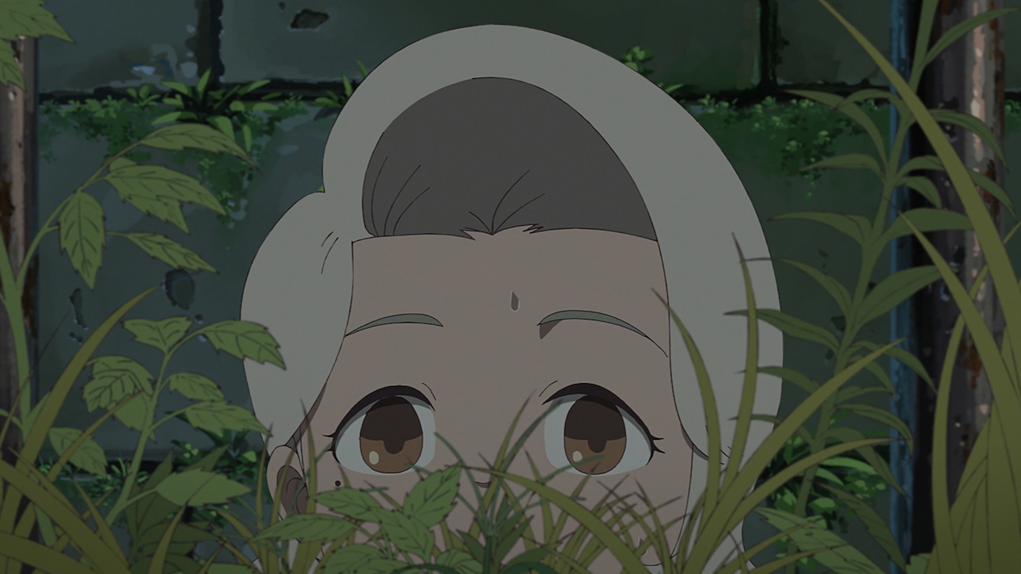 アニメ映画「ホウセンカ」特報の場面カット