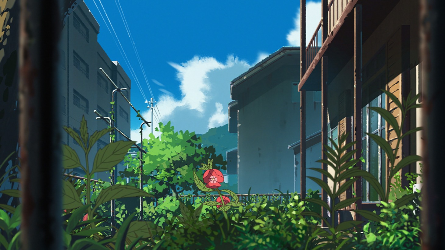 アニメ映画「ホウセンカ」特報の場面カット