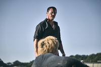 ドラマ「ドンケツ」の場面写真