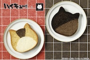 左から「ねこねこ食パン×ハイキュー!! ケンマネコ」、「ねこねこ食パン×ハイキュー!! クロオネコ」