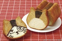 「ねこねこ食パン×ハイキュー!! ケンマネコ」
