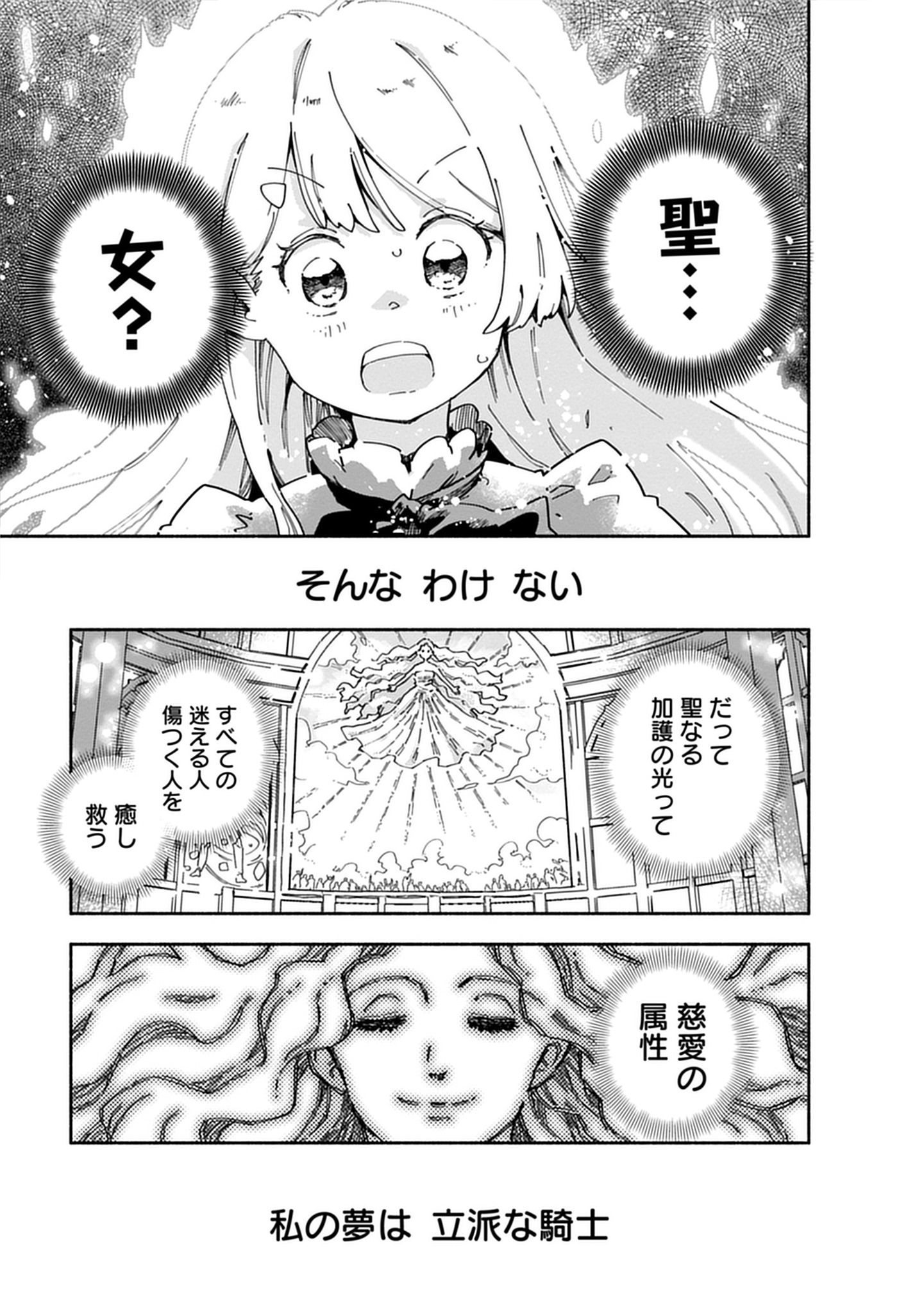 「聖なる加護持ち令嬢は、騎士を目指しているので聖女にはなりません。」より