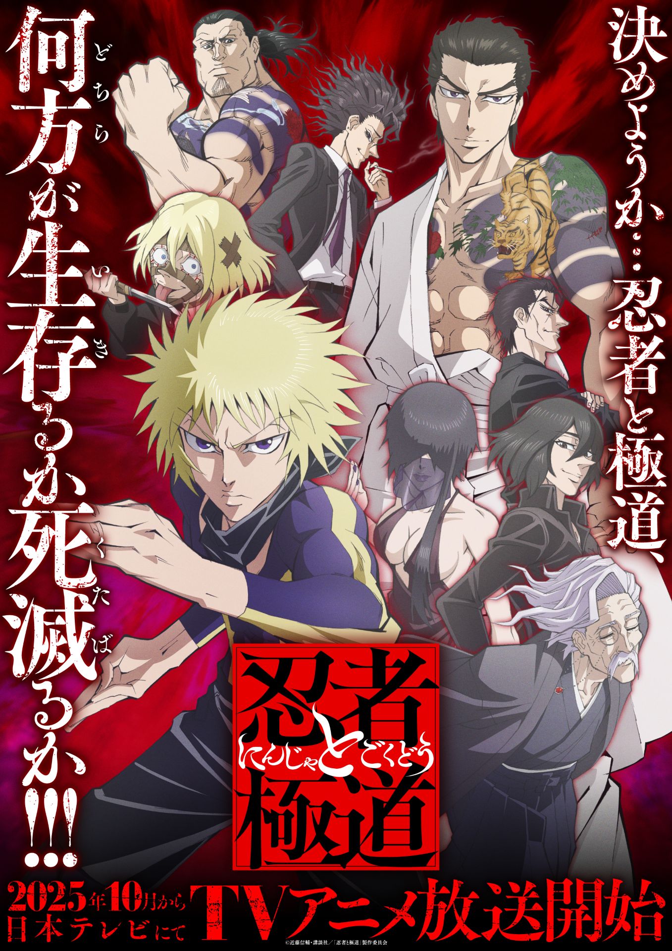TVアニメ「忍者と極道」キービジュアル (c)近藤信輔・講談社／「忍者と極道」製作委員会