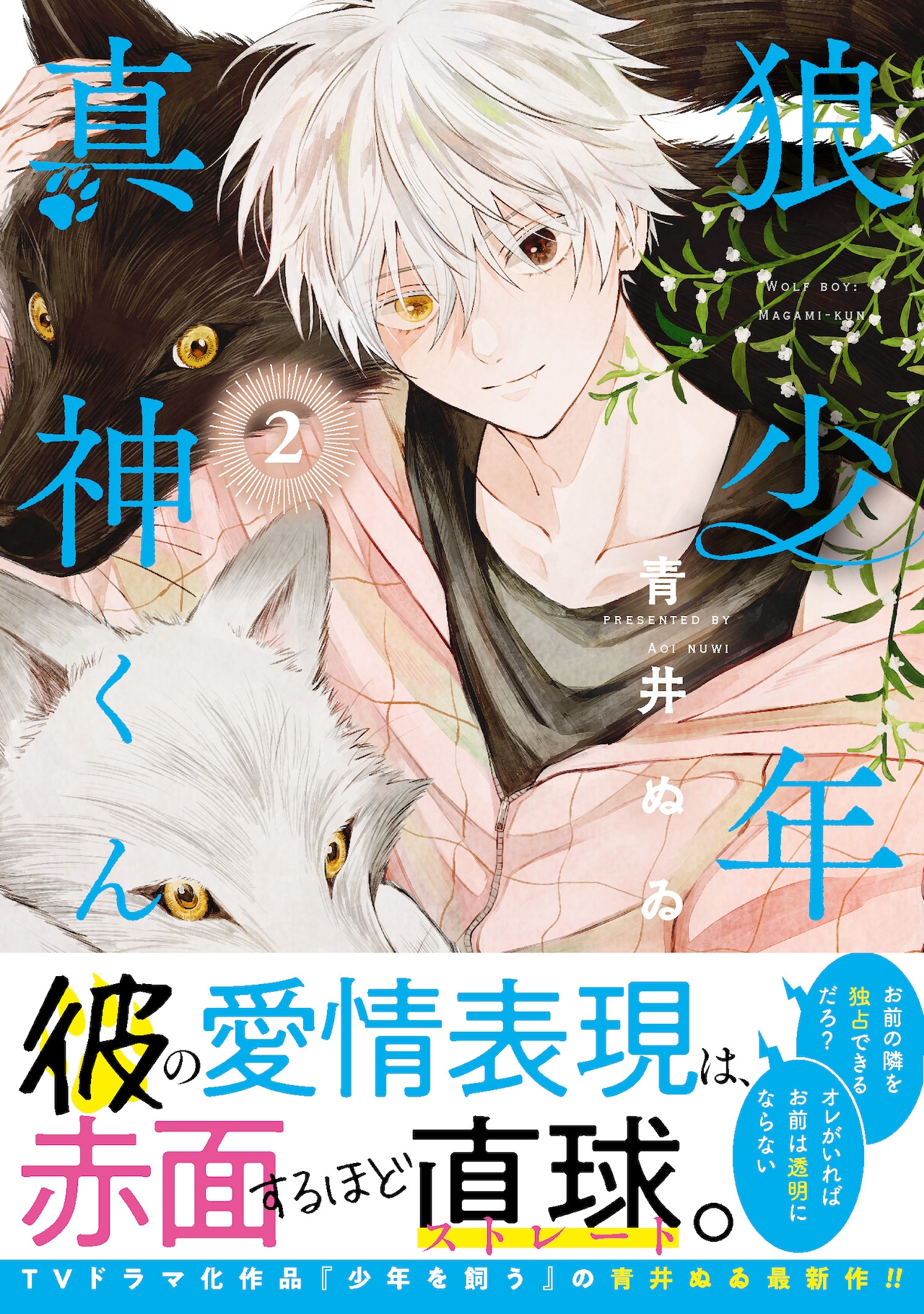 狼少年真神くん」2巻（帯付き） - 「狼少年真神くん」2巻記念