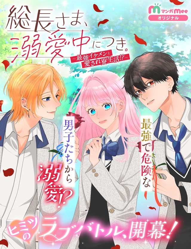 「総長さま、溺愛中につき。～最強イケメンと愛され寮生活!?～」メインビジュアル (c)＊あいら＊・かめ乃・蕾無リリック／集英社