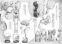 「ノアの剥製 -不思議なアンティークショップ-」より