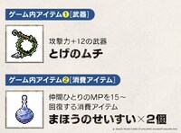 Amazon.co.jp購入特典の「旅人のたしなみセット（ゲーム内アイテム）」