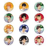 「ハイキュー!! 遊びつくせ!! in ナンジャタウン Summer version」で販売される缶バッジコレクション（全12種）