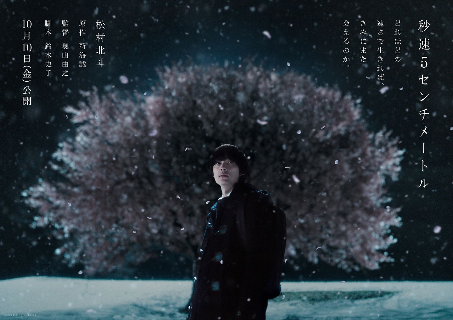 実写映画「秒速5センチメートル」ティザービジュアル (c)2025「秒速5センチメートル」製作委員会