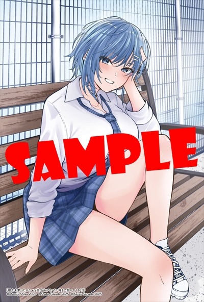 COMIC ZIN特典