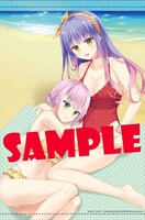 ゲーマーズ有償特典のタペストリー