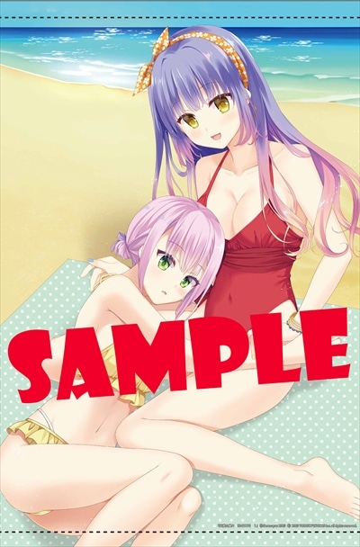 ゲーマーズ有償特典のタペストリー